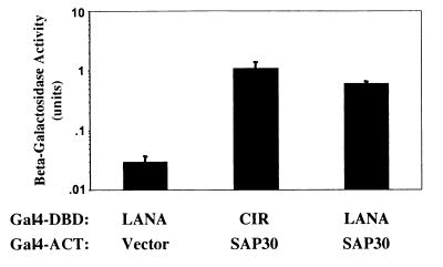 FIG. 1