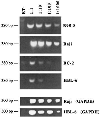 FIG. 6