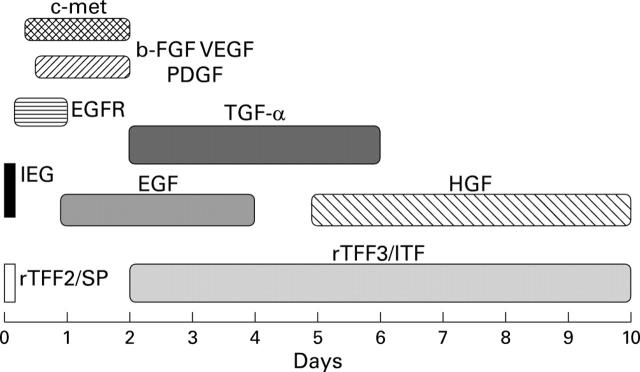 Figure 1  