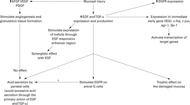 Figure 3  