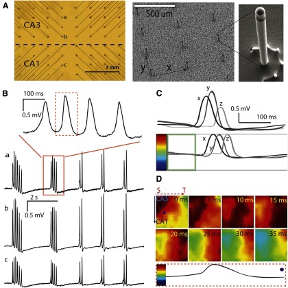 Figure 3.