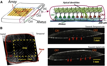 Figure 2.