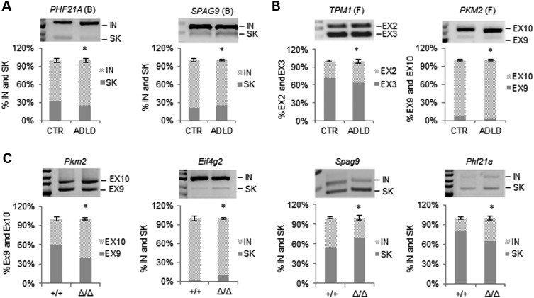 Figure 3.