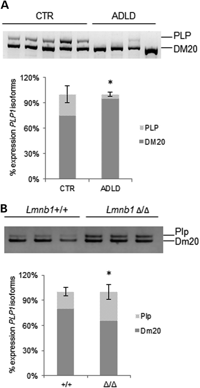 Figure 4.