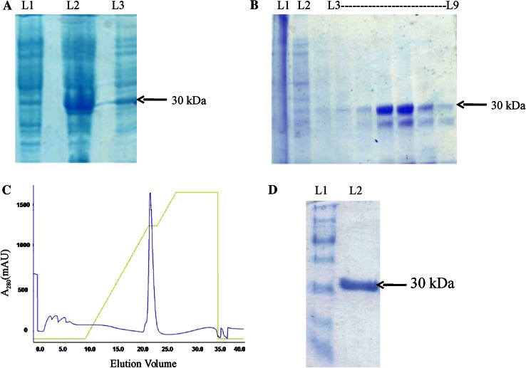 Fig. 2