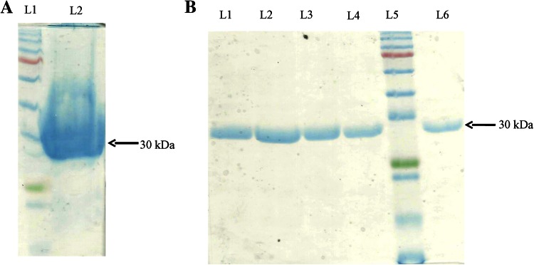 Fig. 3