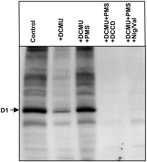 Figure 7.