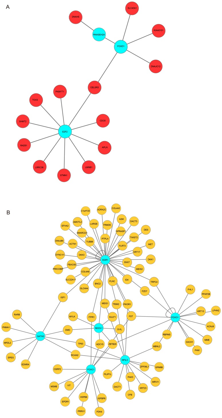 Figure 4.