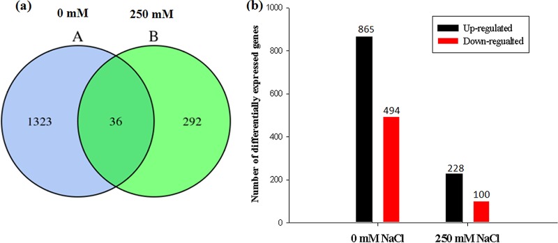 FIG 6