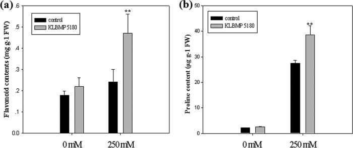 FIG 4