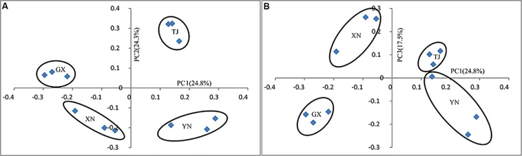 FIGURE 6