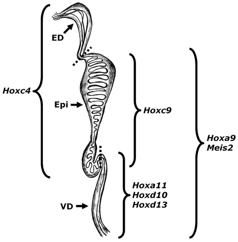 FIG. 3