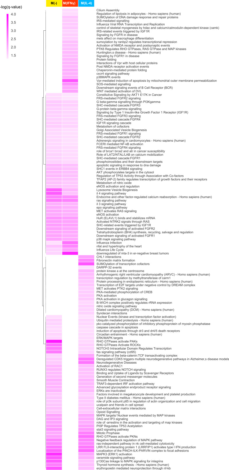 Figure 3—figure supplement 1.