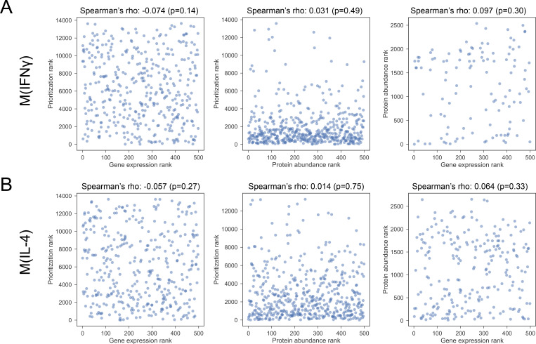 Figure 4—figure supplement 3.