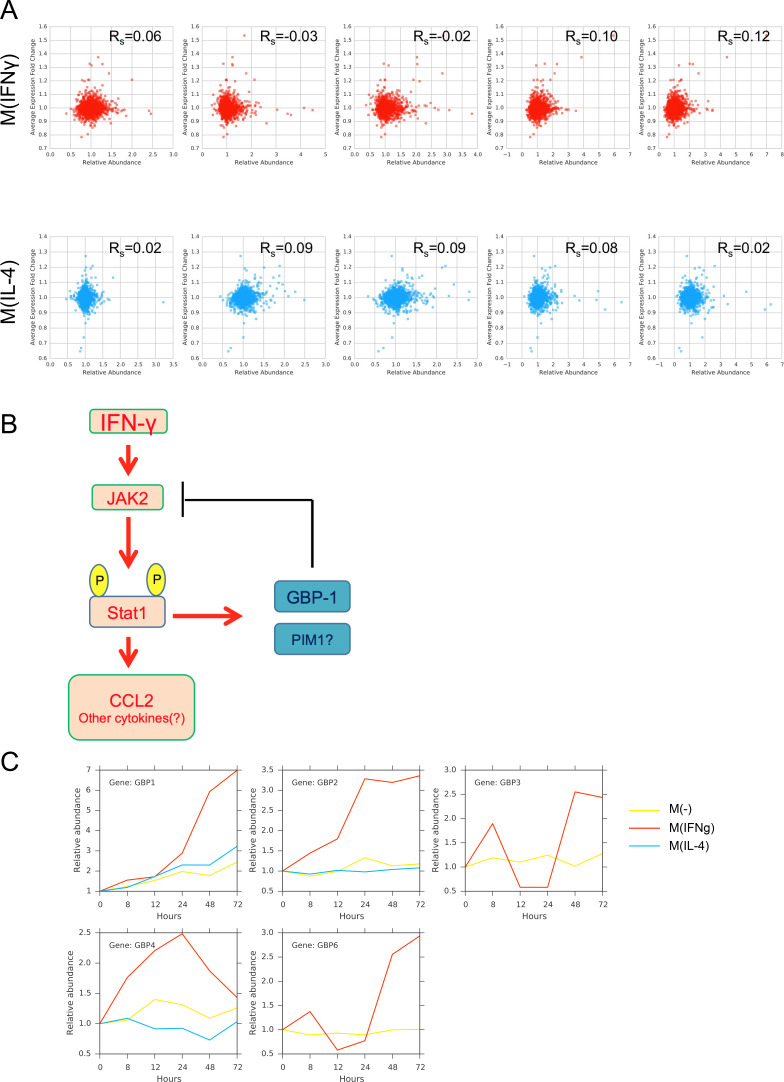 Figure 5—figure supplement 3.