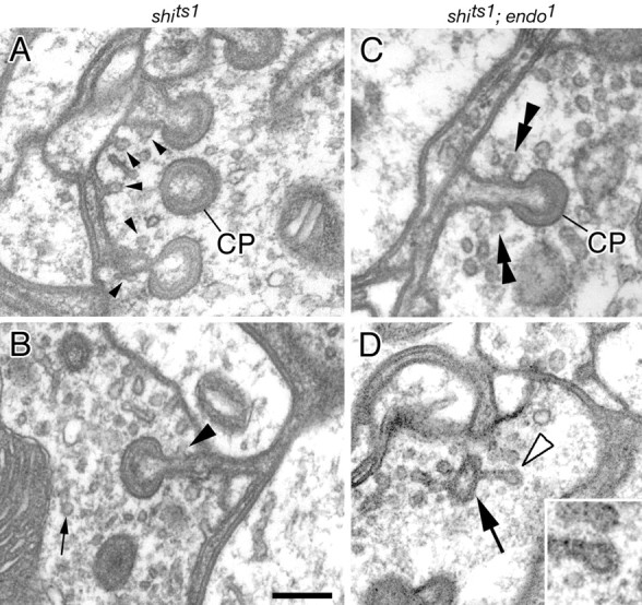 Figure 10.