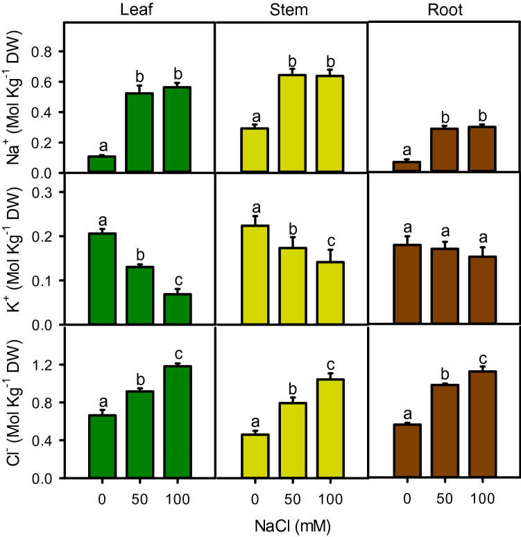 Figure 5