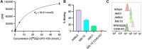 Figure 1. [89Zr]Zr-DFO-YS5 can detect CD46 expression in various multiple myeloma cell lines. A, Kd measurement of [89Zr]Zr-DFO-YS5 on the MM.1S cell line (n = 3), determined by a saturation binding assay (Kd = 16.31 ± 2.6 nmol/L) with a receptor density of 1.49 × 105 per cell. B, Cell binding assay to measure the percent cell-associated activity of [89Zr]Zr-DFO-YS5 using different multiple myeloma cell lines (n = 3). C, Flow cytometry analysis of CD46 cell surface expression in various multiple myeloma cell lines (n = 3).