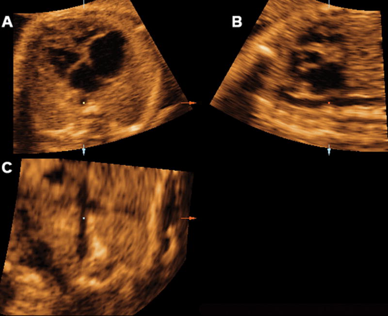 Figure 7