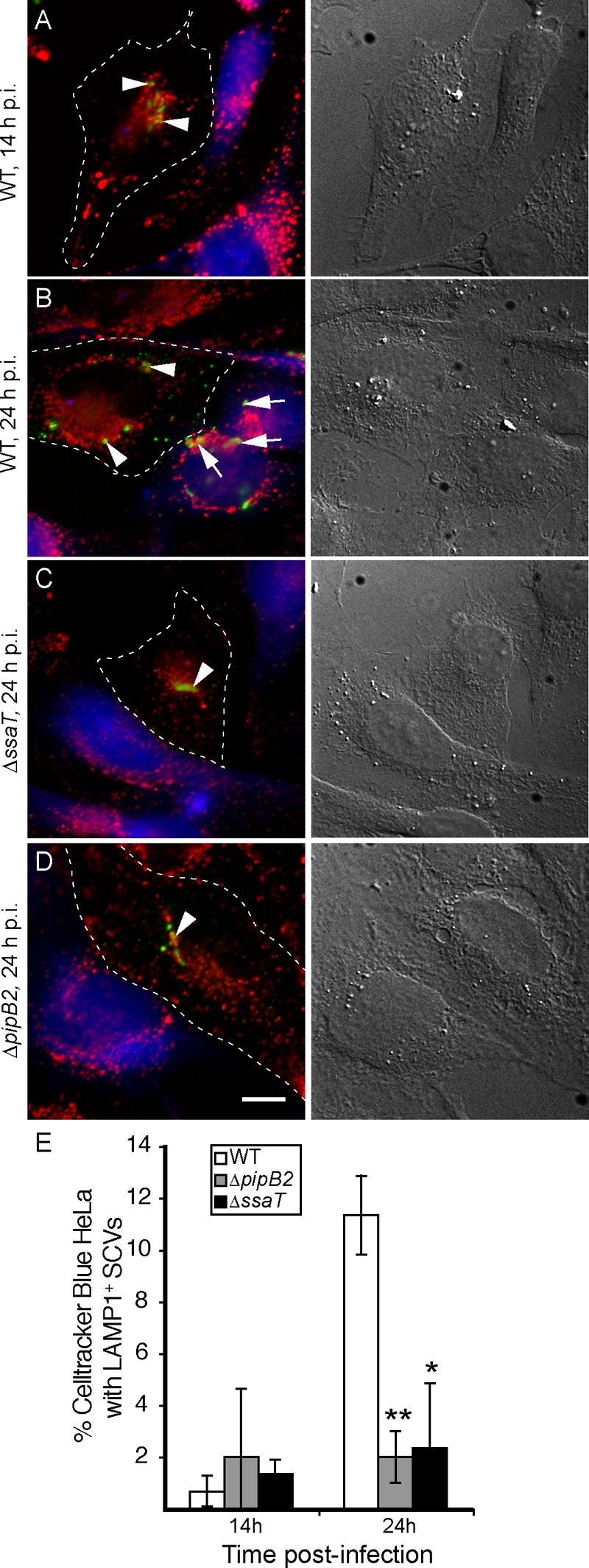 FIG. 6.