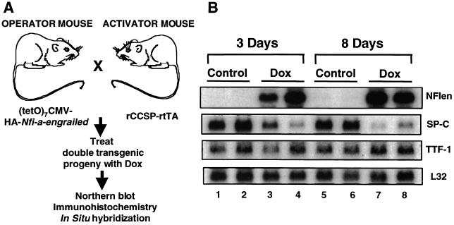 FIG. 8.