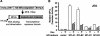 FIG. 7.