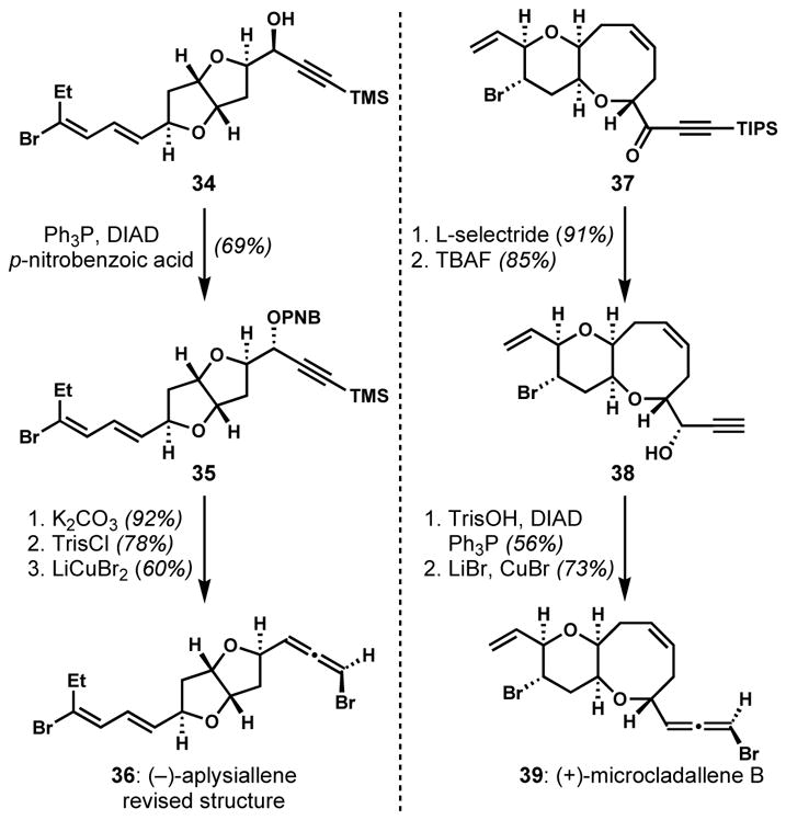 Scheme 5