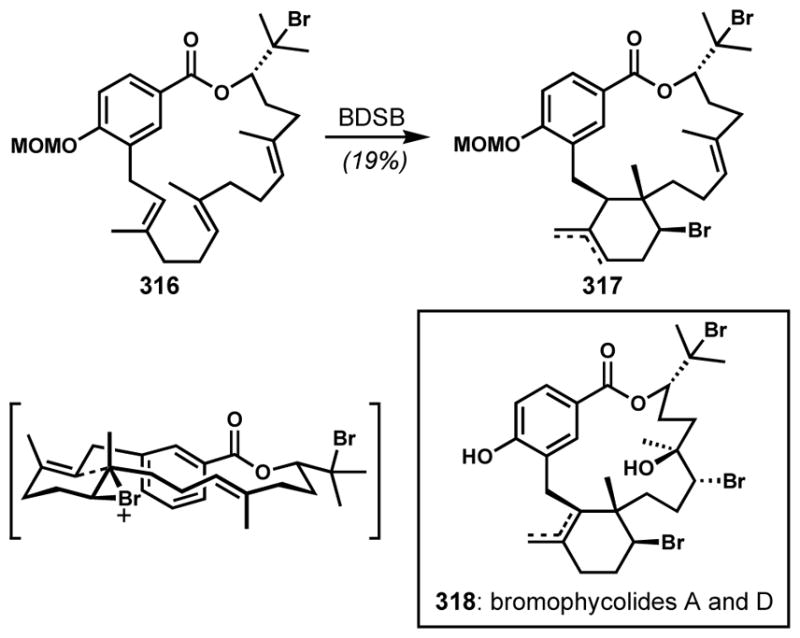 Scheme 67