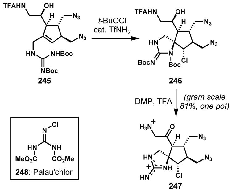 Scheme 51