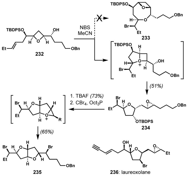 Scheme 48