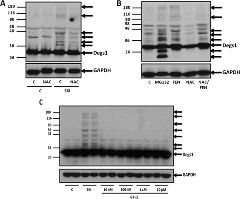 FIG 6