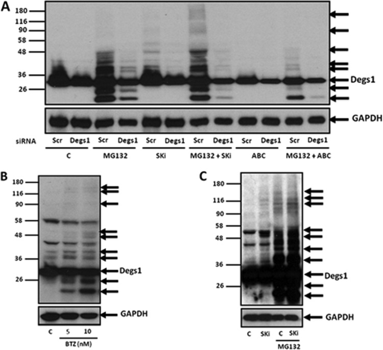 FIG 2