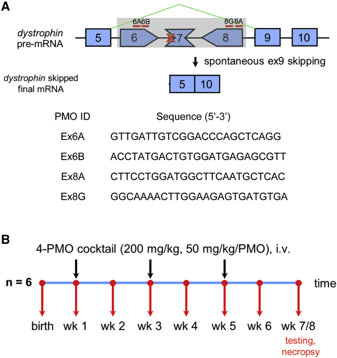 Figure 1