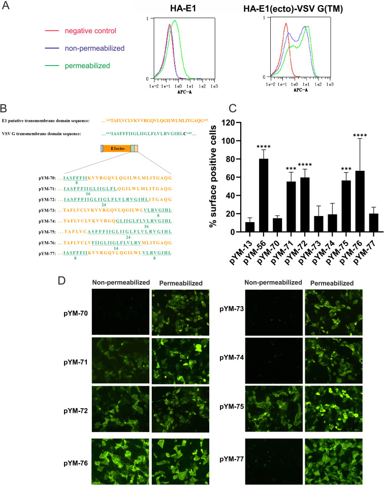 FIG 3