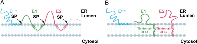 FIG 8