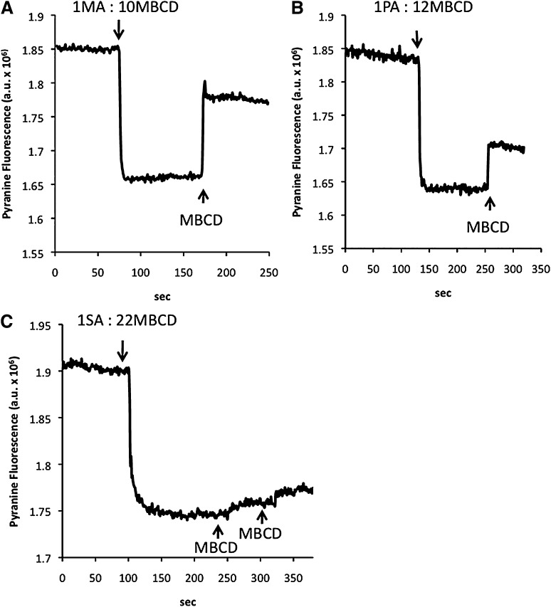 Fig. 2.