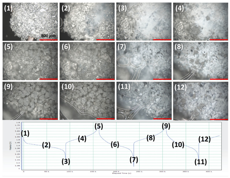 Figure 10