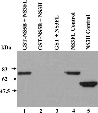 FIG. 7.