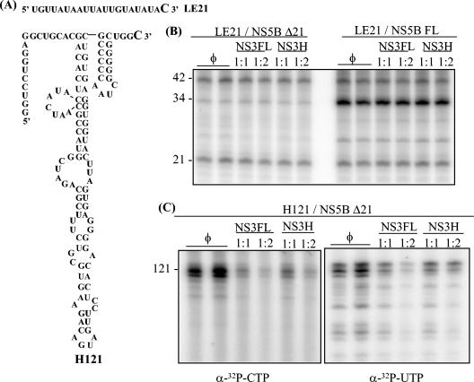 FIG. 9.