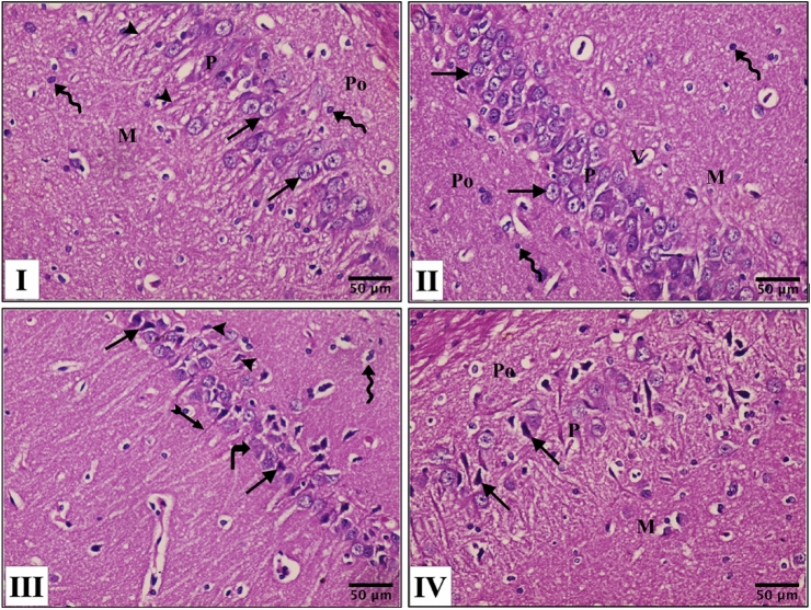 Fig. 4