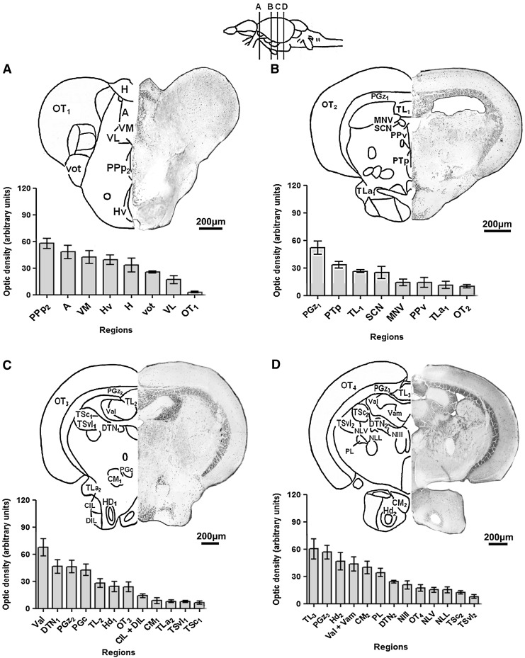 FIG. 3.