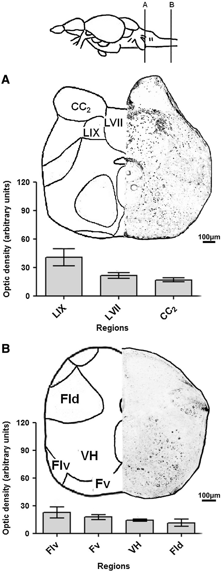 FIG. 5.