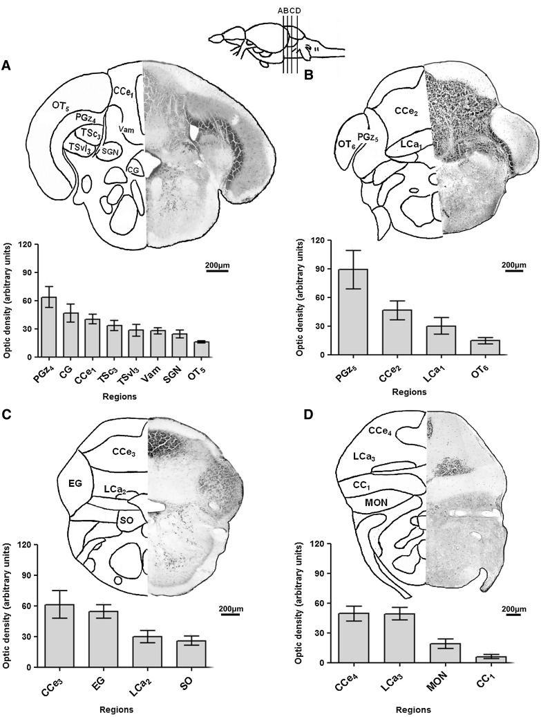 FIG. 4.