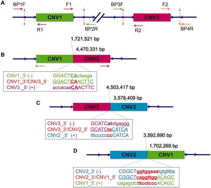 Fig 4