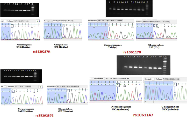 Figure 2