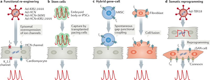 Figure 4 |