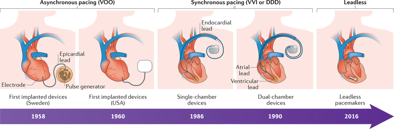 Figure 3 |