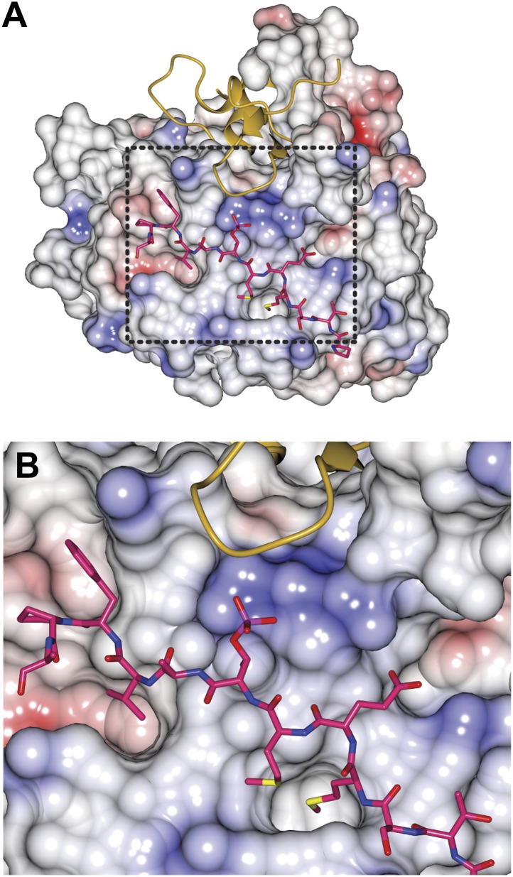 Figure 3—figure supplement 3.