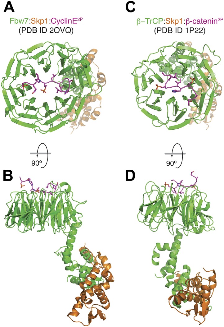 Figure 3—figure supplement 2.