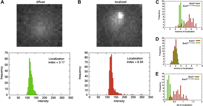 Figure 5—figure supplement 2.